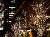 20081219-����ԡ���������饤�ȥԥ�-2112-DSC04328