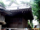 20090628_������������7_��η���ҤޤĤ�_1147_DSC02097