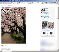 �ѥ���층_������
