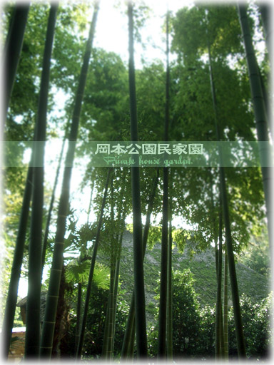 PENTAX_古民家園