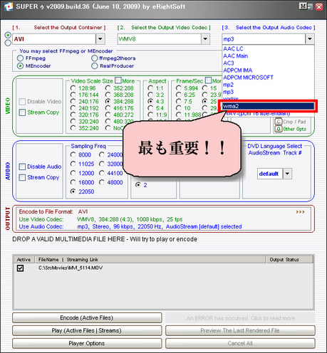 14_wma2_強調