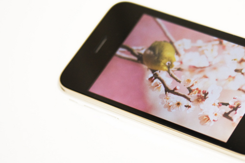 iPhone1
