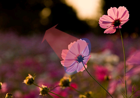 03_�����Υ���ץ�