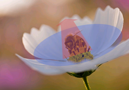 01_�����Υ���ץ�