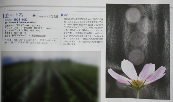 2008ǯ09���ǥ�����ե�������