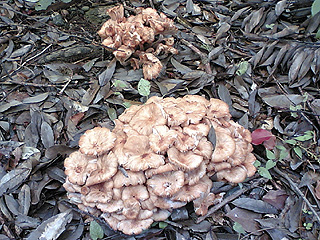 1f54851f.jpg