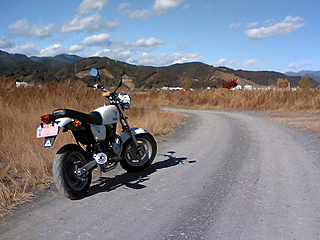 925a655a.jpg