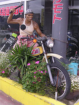 DT250