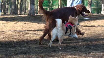 pix_DSC00124