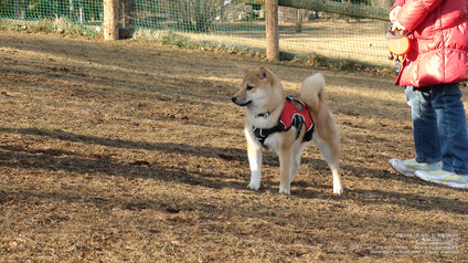 pix_DSC00117