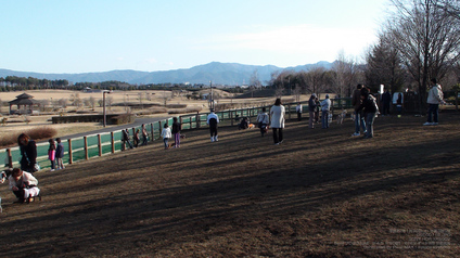 pix_DSC00116