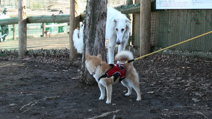 pix_DSC00122