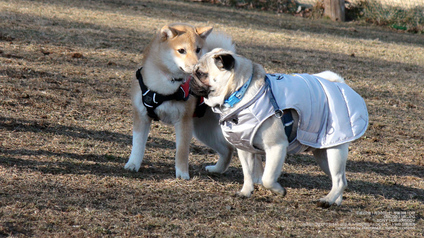 pix_DSC00118