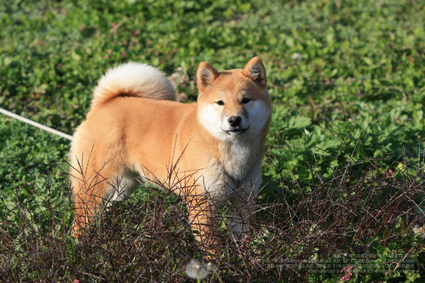 pix_IMG_4577