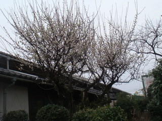 DSC01166