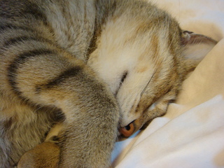 DSC03761