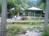 5a231403.jpg