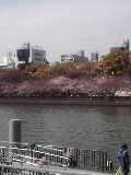 56791c0a.jpg