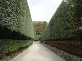 ��ճ�