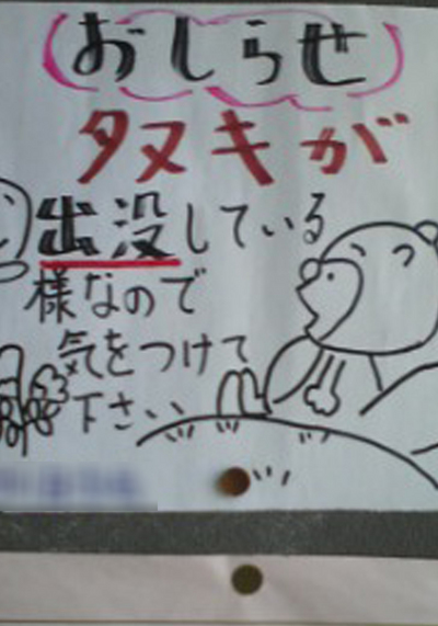 タヌキ