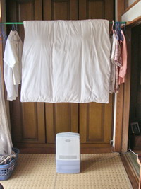 XIMGP0005.jpg