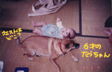 BlogPaint
