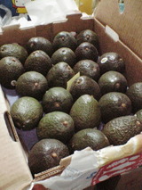 fbaac31c.jpg