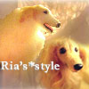 Ria's*style�ؤΥ�󥯥ܥ���