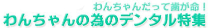 �ǥ󥿥��ý�