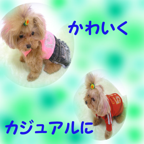 ¥¯¥ì¥¤¥¸¡¼¥É¥ê