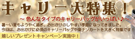 キャリー特集