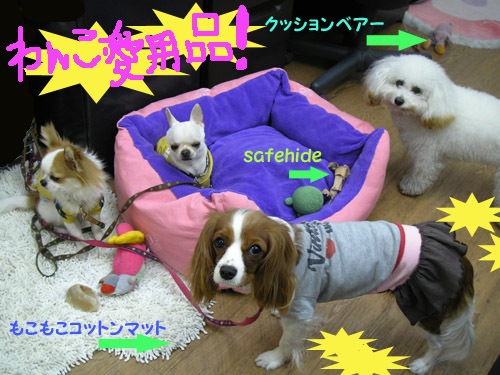 愛用品