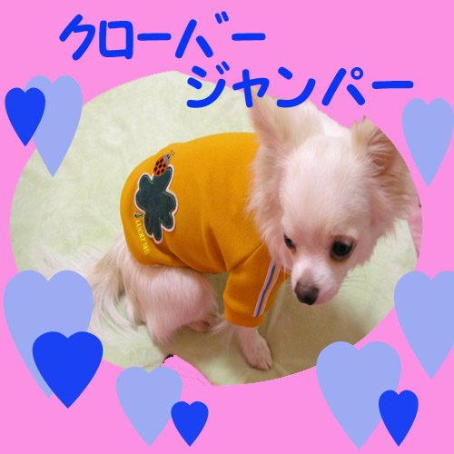 くろーばージャンパー