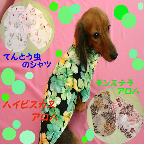 シャツ