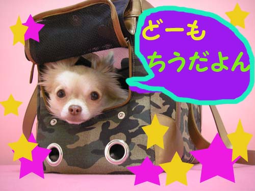 ちう
