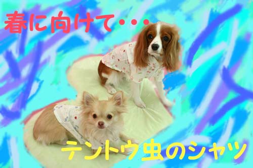 �Ƥ�Ȥ���