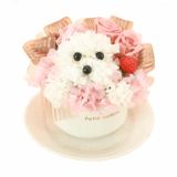 hanateacup