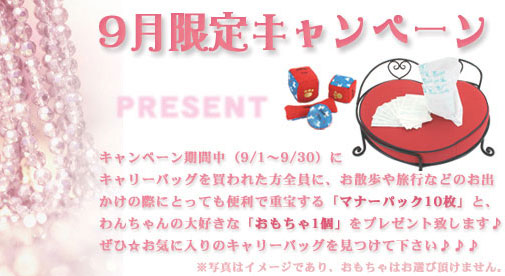 キャンペーン