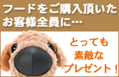 フード購入者プレゼント