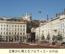 ���줫�鸫����ե����������ε�