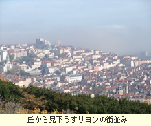 �֤��鸫����������γ��¤�