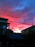 IMG_0102
