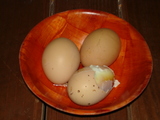 炭サウナの卵