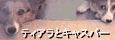 今日から俺は!