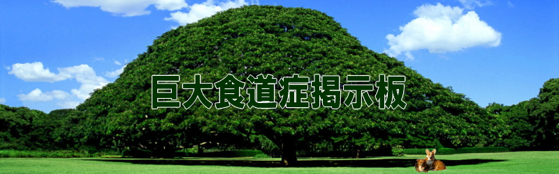 Welcome to my web site!