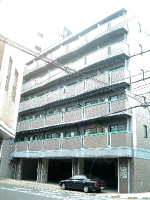 Green square 54,000 yen1