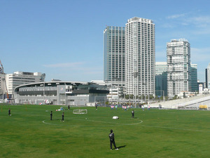 P1260264-1