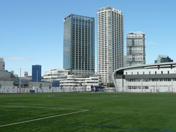 P1260260-1