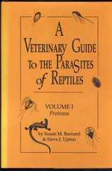 VET��������