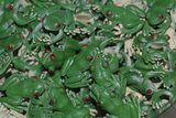 mini frogs